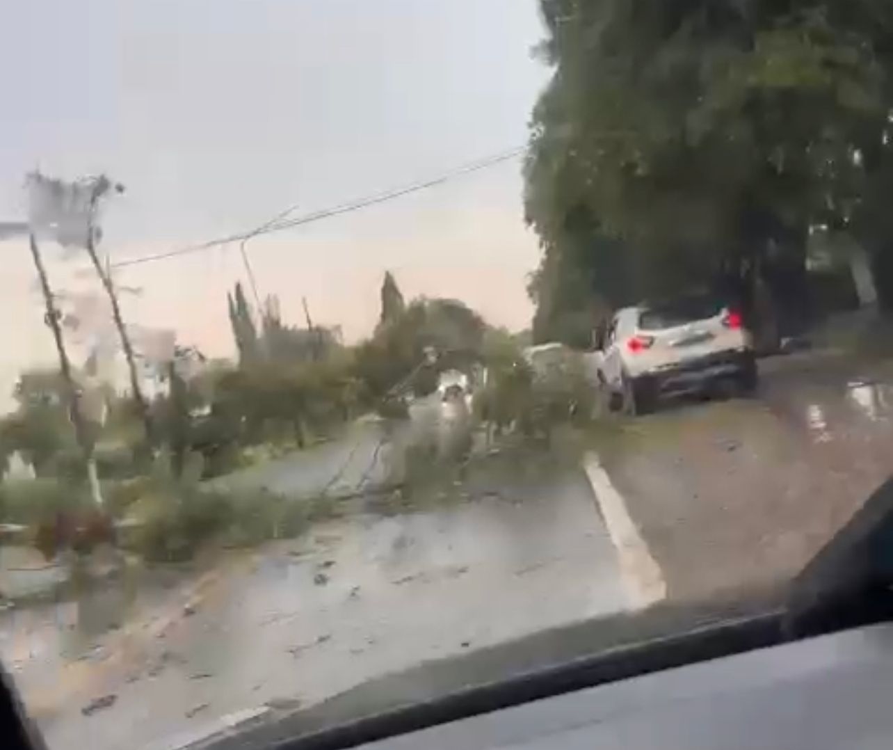 Fuerte temporal en Funes: piedras, caída de árboles, corte en Ruta 9 y una persona herida