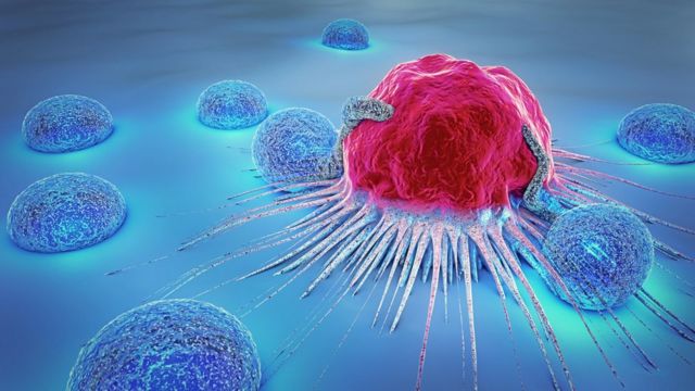 Marcadores tumorales: ¿cómo son los valores que nos permiten prevenir un cancer?