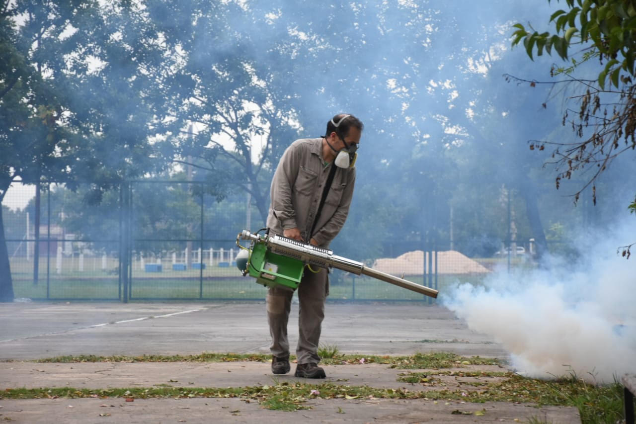 La ciudad en alerta por el dengue
