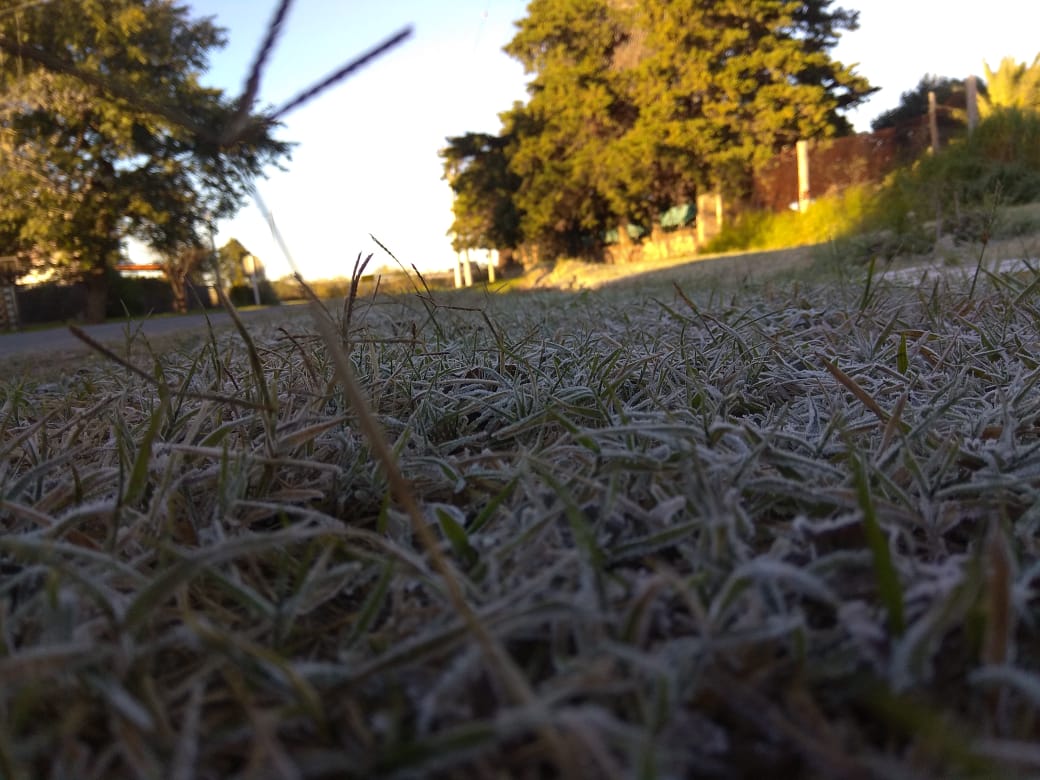 Empezó la temporada bajo cero: fría mañana de martes en la ciudad