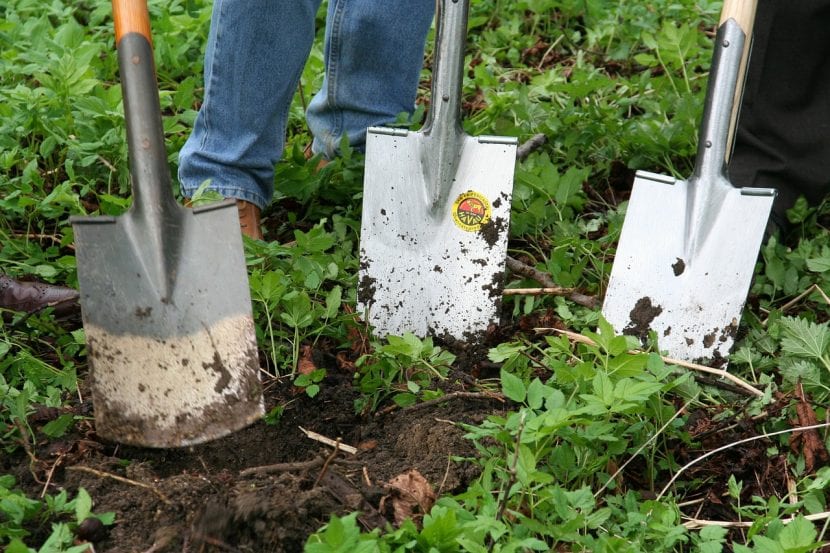 Tierra Chica abre búsqueda laboral para jardinería y mantenimiento