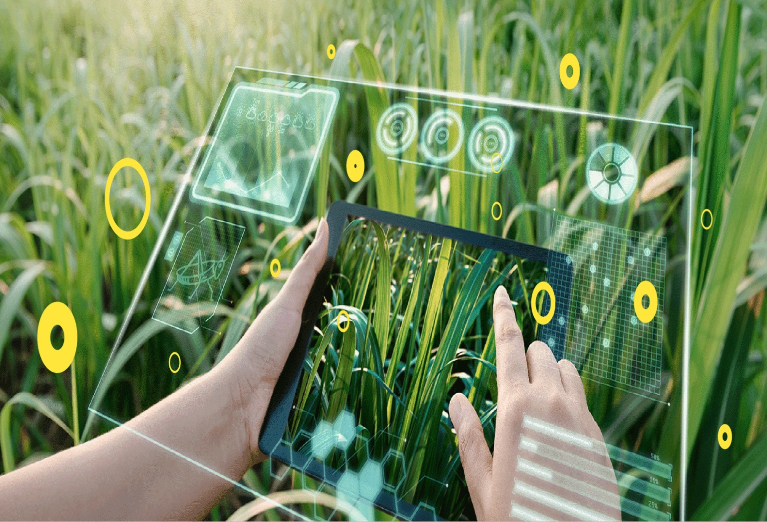 Cuál es la carrera del futuro que une tecnología y agricultura que la UGR lanzará desde Funes y cómo anotarse