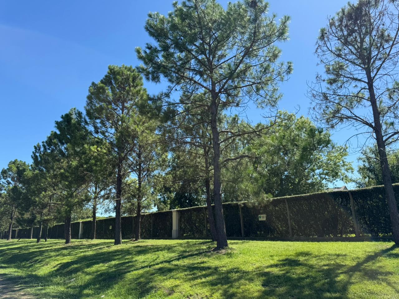 Cómo huyeron los ladrones: avanza la investigación del robo navideño que sacudió a un barrio cerrado de Funes