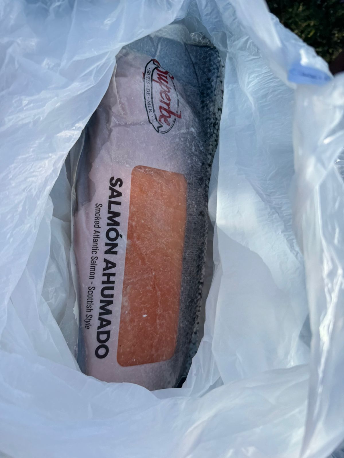 Sin frío ni papeles: decomisaron 50 kilos de pescados y mariscos en malas condiciones en el acceso a Funes